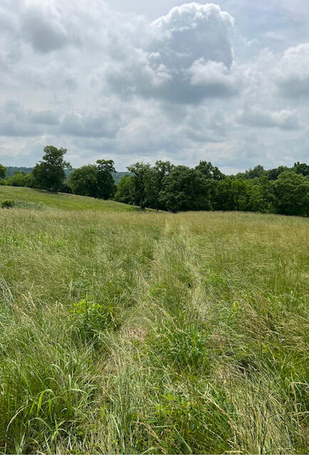 730 Frank Clark Road Owenton, KY 40359 - Photo 6 of 7 IMG_3546 (1)