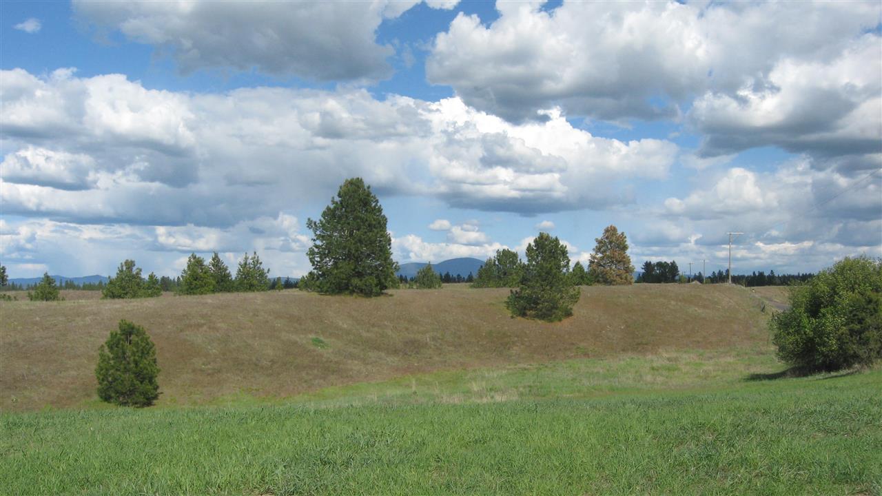 1382 West Wild Rose Road Colbert, WA 99005 - Photo 2 of 14