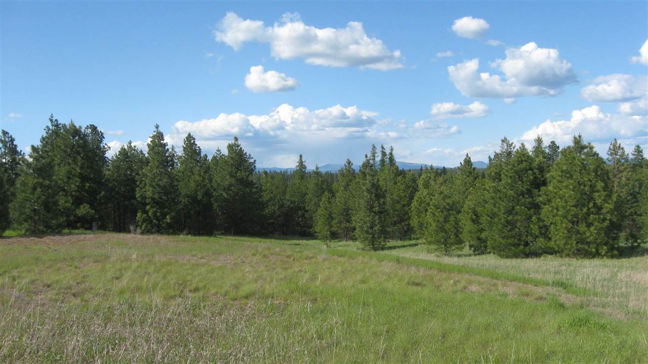 1382 West Wild Rose Road Colbert, WA 99005 - Photo 11 of 14