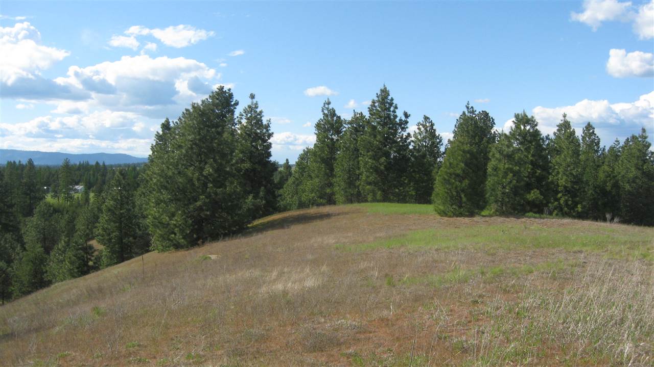 1382 West Wild Rose Road Colbert, WA 99005 - Photo 13 of 14