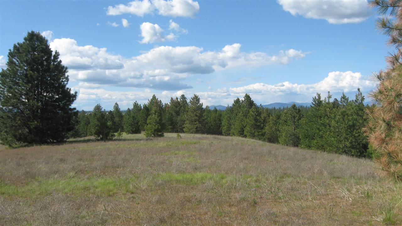 1382 West Wild Rose Road Colbert, WA 99005 - Photo 3 of 14