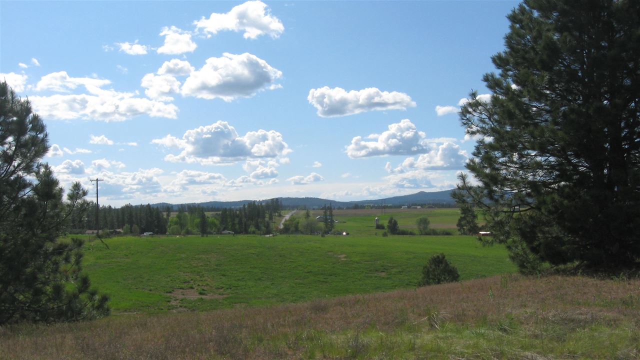 1382 West Wild Rose Road Colbert, WA 99005 - Photo 4 of 14