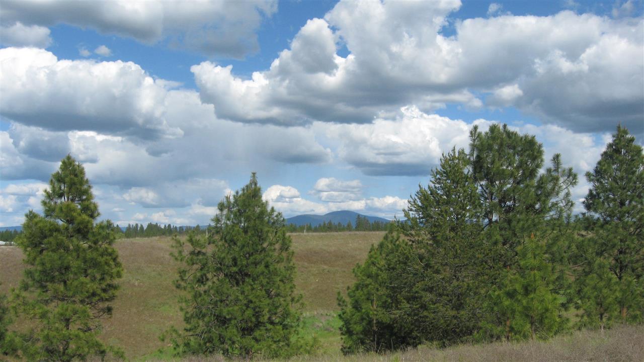 1382 West Wild Rose Road Colbert, WA 99005 - Photo 5 of 14
