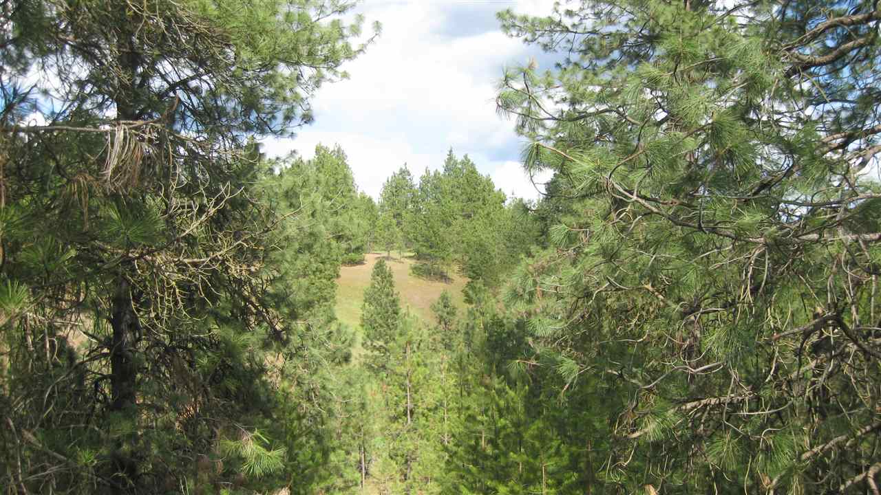 1382 West Wild Rose Road Colbert, WA 99005 - Photo 6 of 14