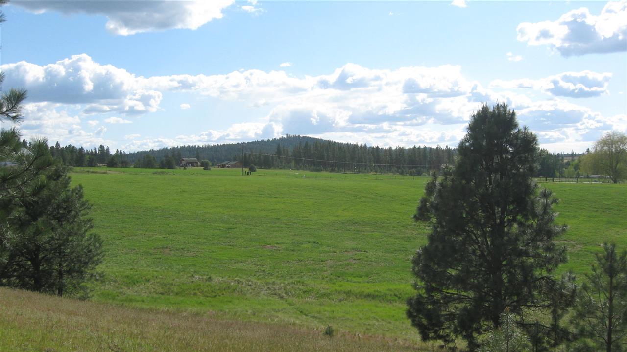 1382 West Wild Rose Road Colbert, WA 99005 - Photo 7 of 14