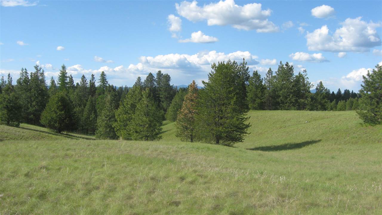 1382 West Wild Rose Road Colbert, WA 99005 - Photo 8 of 14
