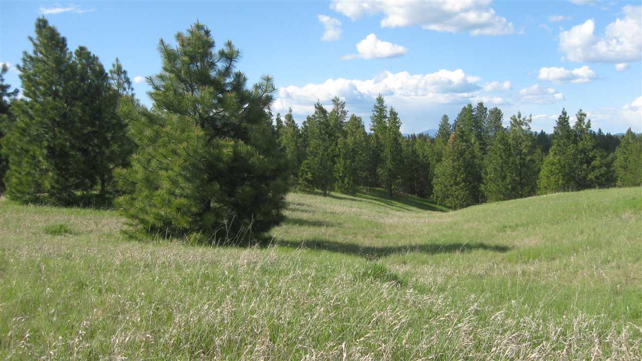 1382 West Wild Rose Road Colbert, WA 99005 - Photo 9 of 14