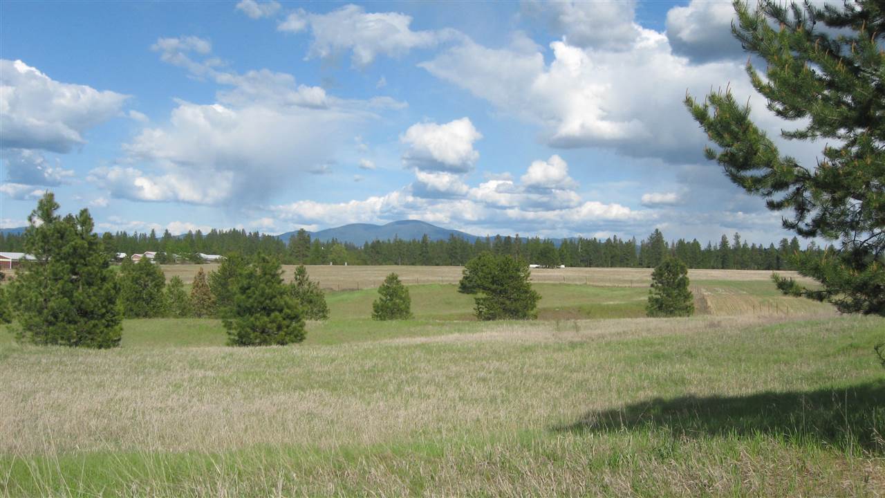 1382 West Wild Rose Road Colbert, WA 99005 - Photo 10 of 14