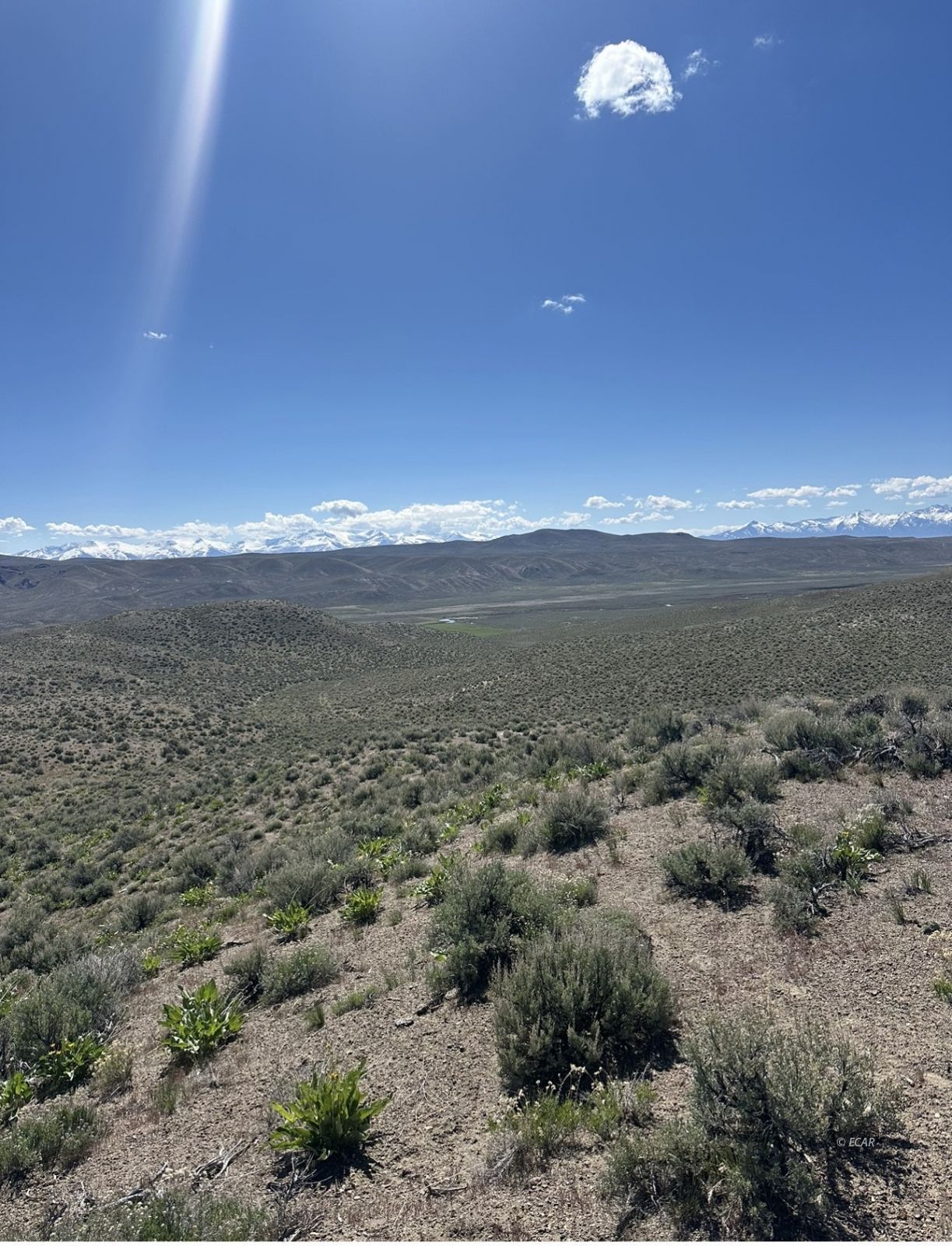 Cedar Street Elko, NV 89801 - Photo 2 of 14