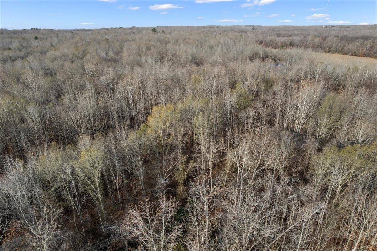 a view of a dry field