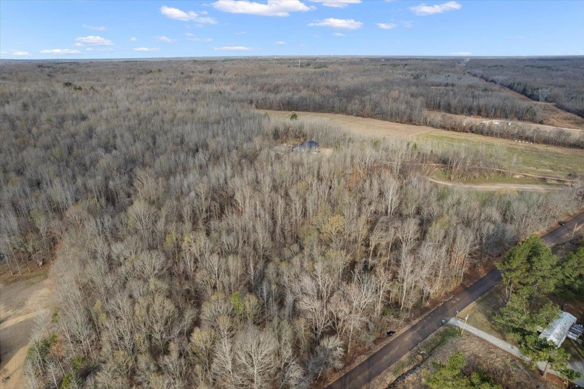 0 Coney Road Rossville, TN 38066 - Photo 4 of 11 Aerial overview of property's location with a heavily wooded area
