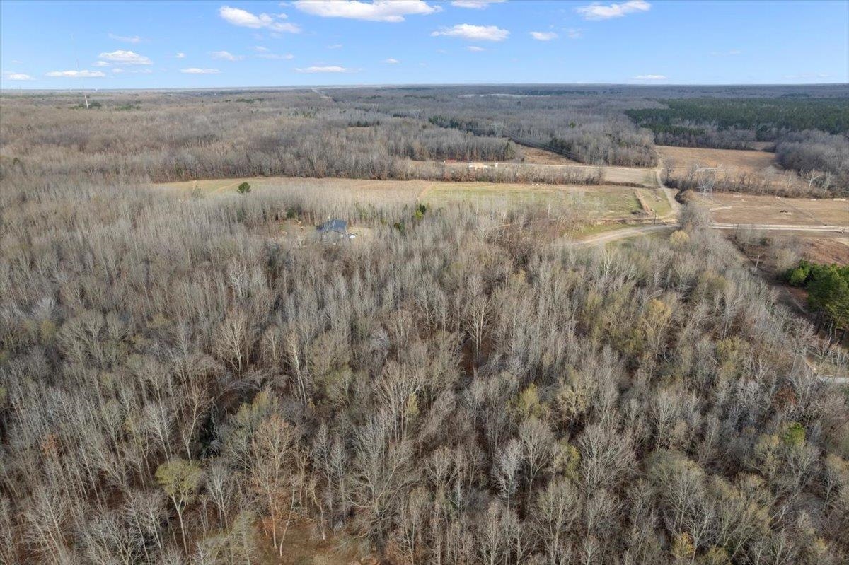 0 Coney Road Rossville, TN 38066 - Photo 5 of 11 View of property location featuring a heavily wooded area and rural landscape