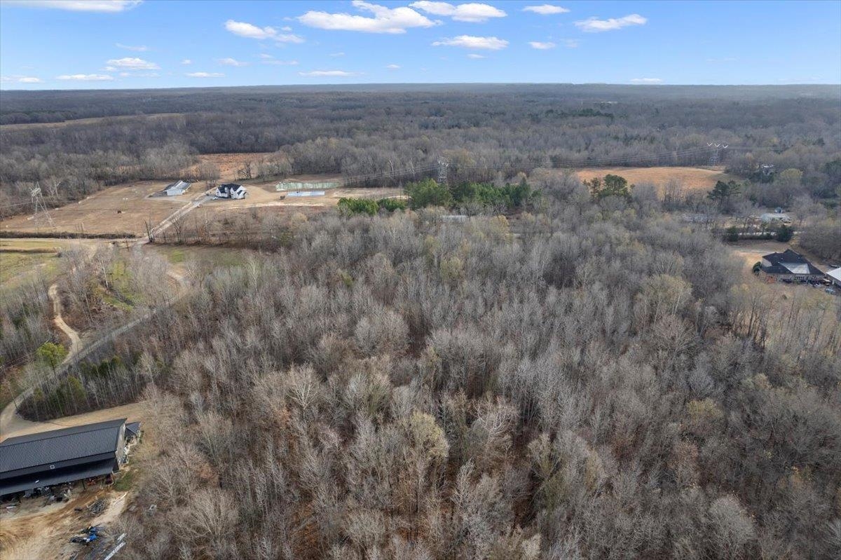 0 Coney Road Rossville, TN 38066 - Photo 7 of 11 View of property location featuring a heavily wooded area