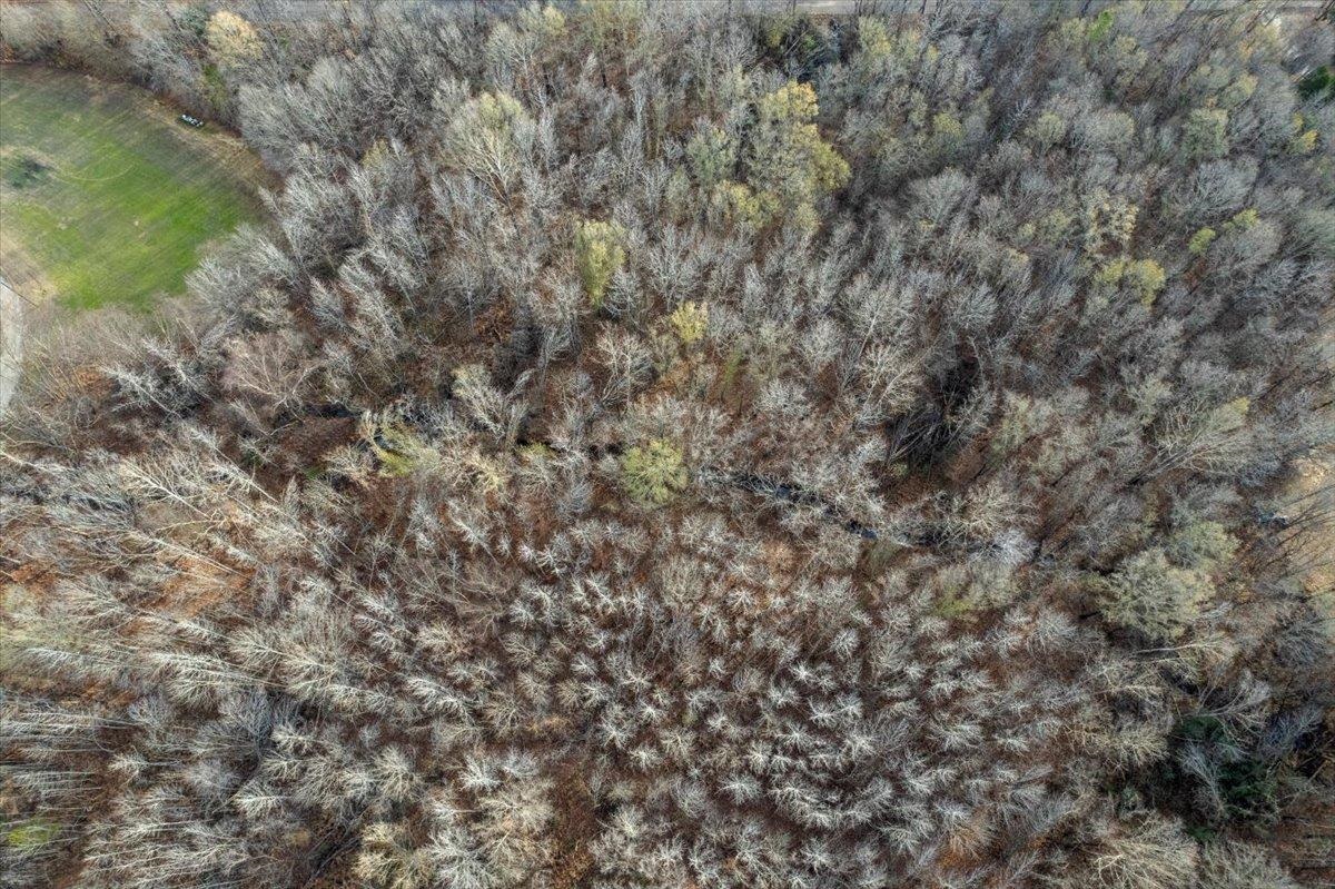 0 Coney Road Rossville, TN 38066 - Photo 8 of 11 View of property location