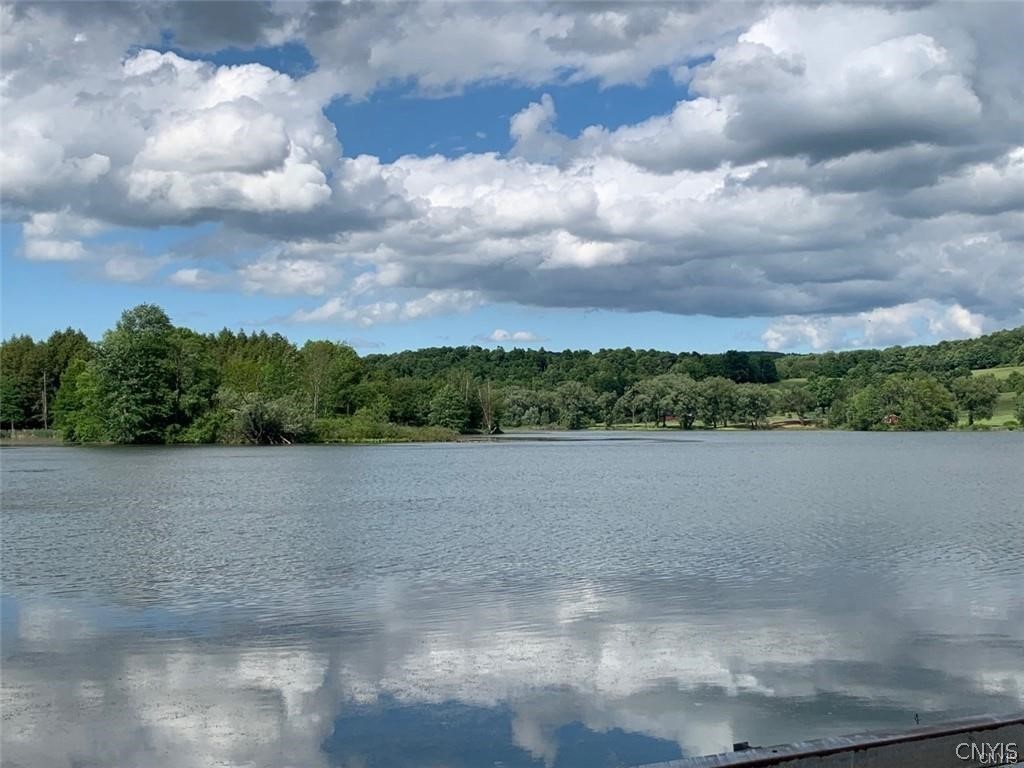 0 East Lake Road Hamilton, NY 13346 - Photo 11 of 12