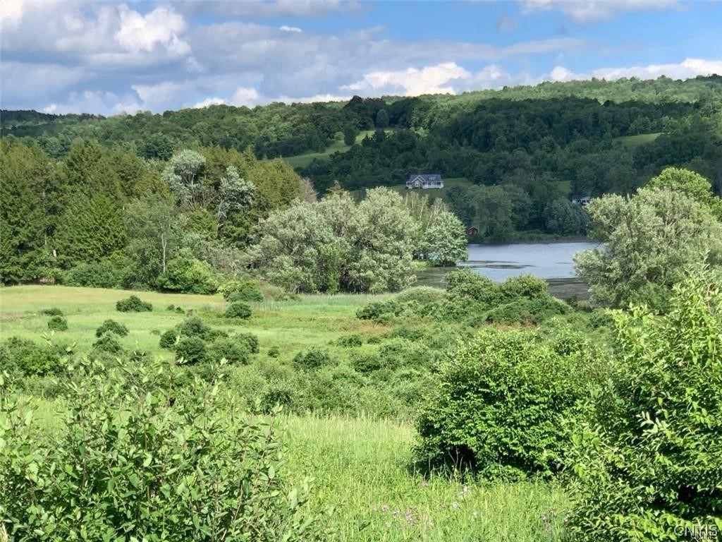 0 East Lake Road Hamilton, NY 13346 - Photo 6 of 12