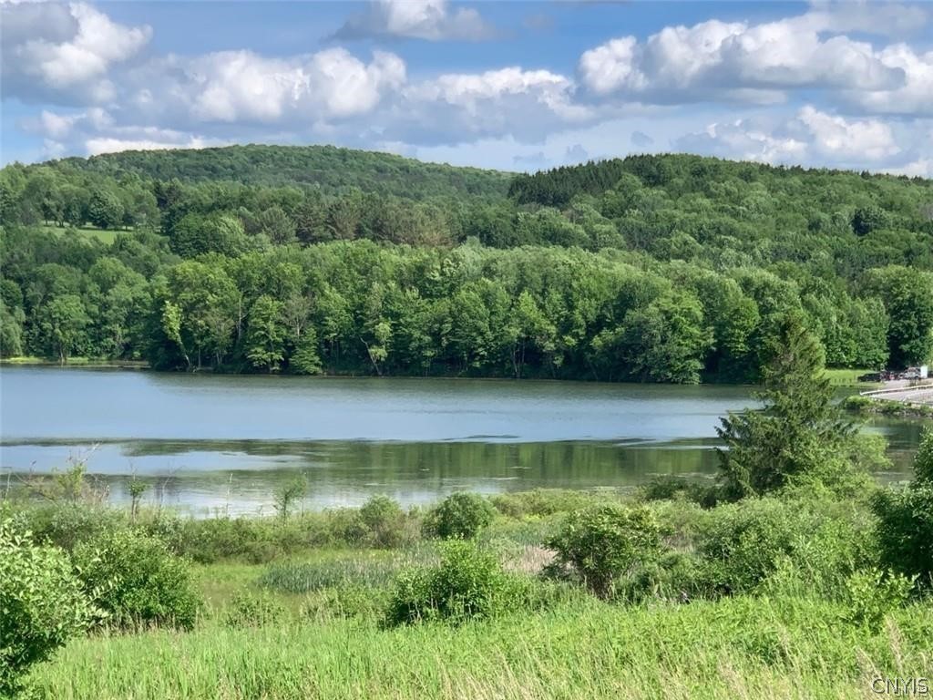 0 East Lake Road Hamilton, NY 13346 - Photo 8 of 12