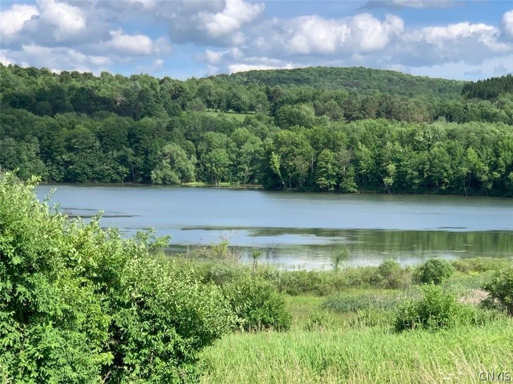 0 East Lake Road Hamilton, NY 13346 - Photo 9 of 12