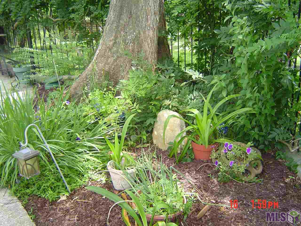 1615 Applewood Road Baton Rouge, LA 70808 - Photo 24 of 26 Pool Landscaping