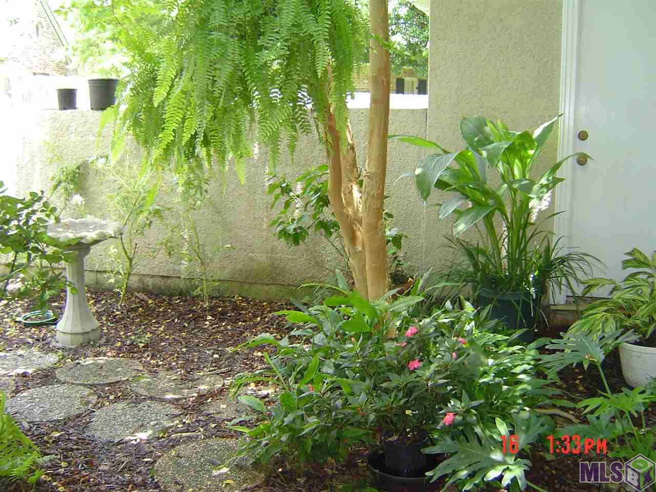 1615 Applewood Road Baton Rouge, LA 70808 - Photo 8 of 26 View from Office