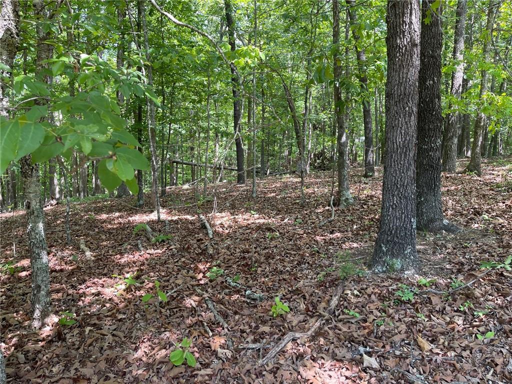 1 A Chalcrest Way Cave Spring, GA 30124 - Photo 11 of 54 Gallery Image 11