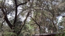 1135 Nash Road Lamont, FL 32336 - Photo 14 of 14 Gallery Image 14