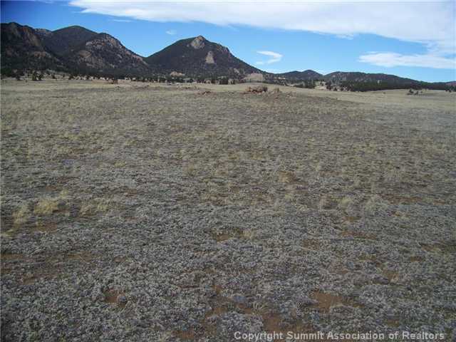 11313 Jackson Road Lake George, CO 80827 - Photo 3 of 4 Land/Lot.