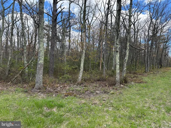 a view of outdoor space with trees