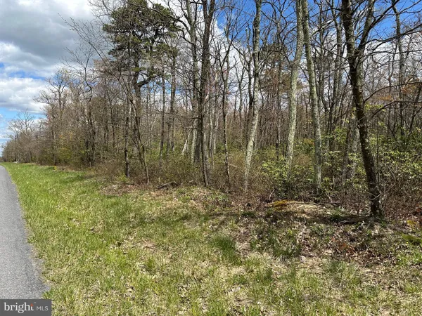 a view of outdoor space and trees