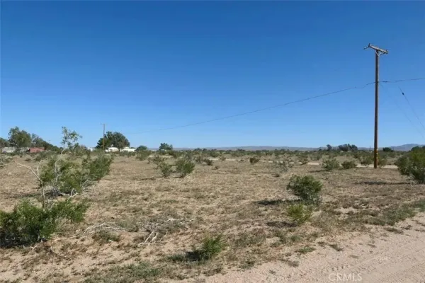 a view of a field