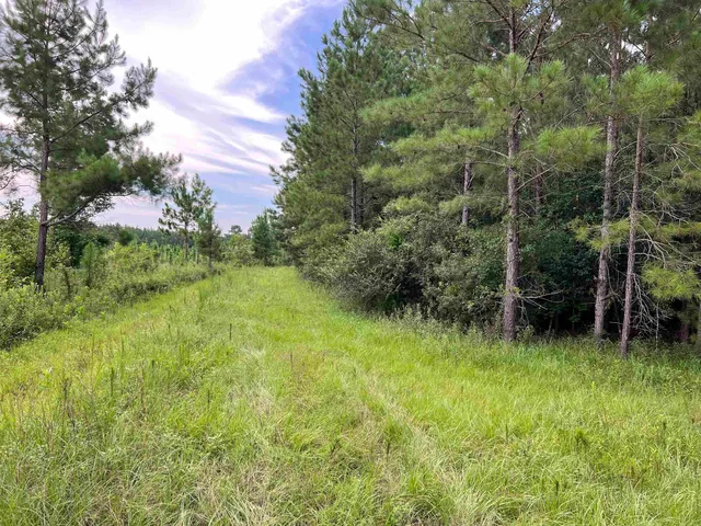 $344,500 | 18701 Blue Star Highway, Quincy, FL 32351