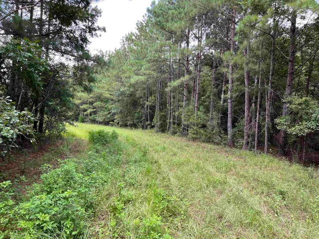 $344,500 | 18701 Blue Star Highway, Quincy, FL 32351