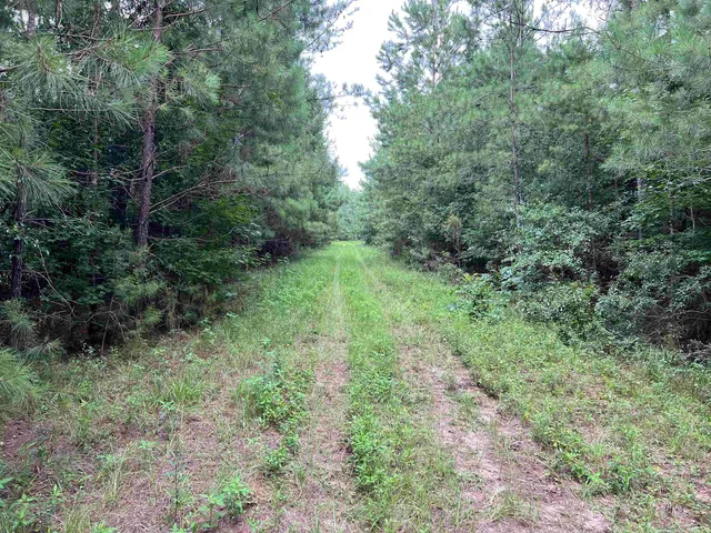 $344,500 | 18701 Blue Star Highway, Quincy, FL 32351