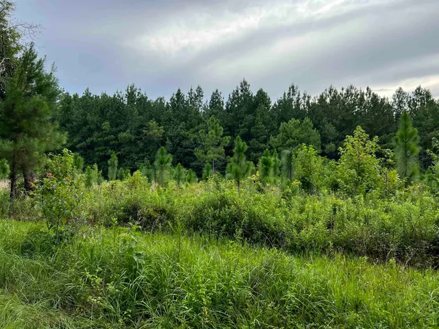 $344,500 | 18701 Blue Star Highway, Quincy, FL 32351