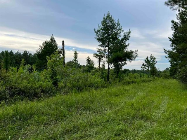 $344,500 | 18701 Blue Star Highway, Quincy, FL 32351