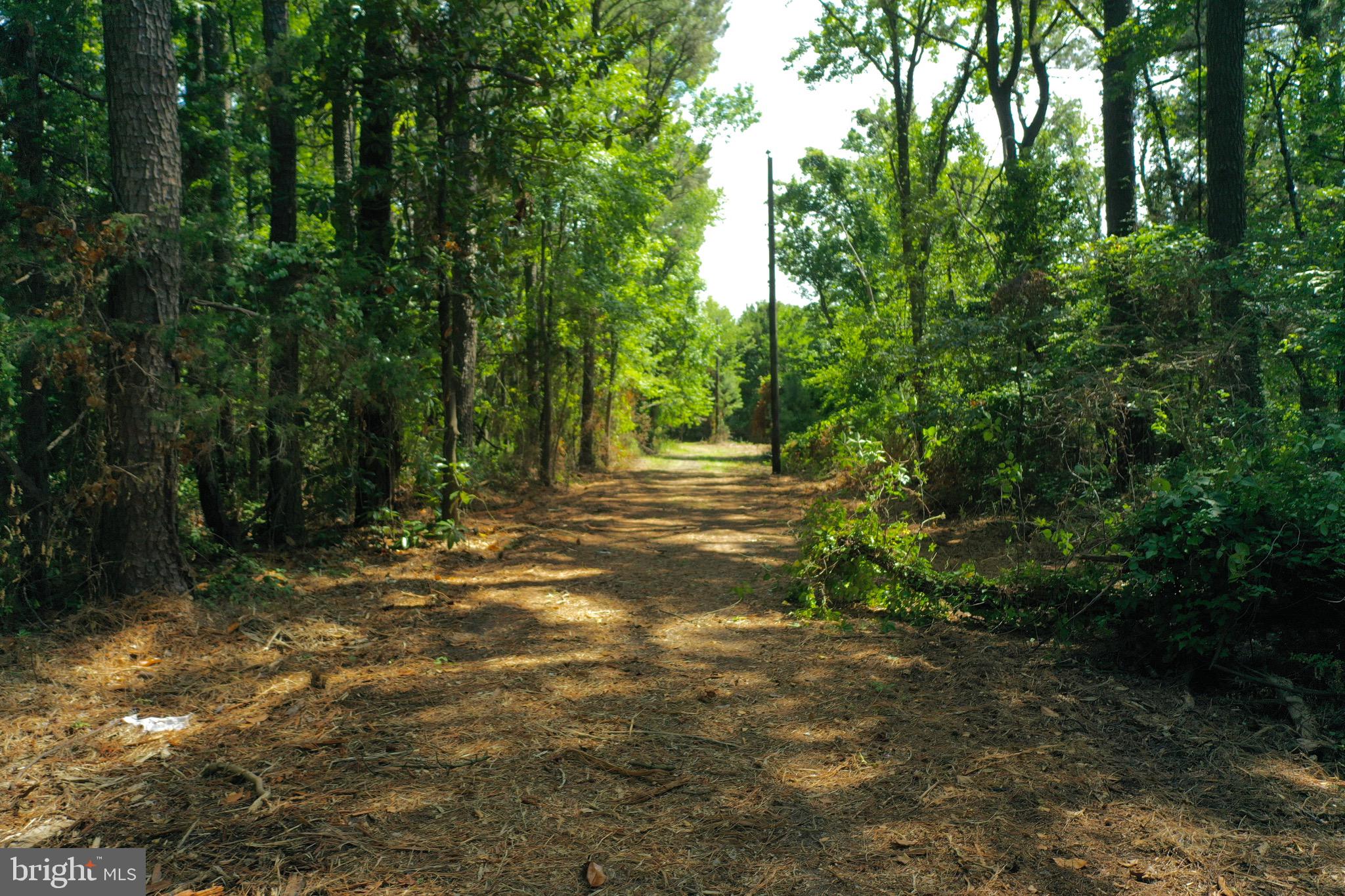 23145 Edelen Webster Road Deal Island, MD 21821 - Photo 30 of 35