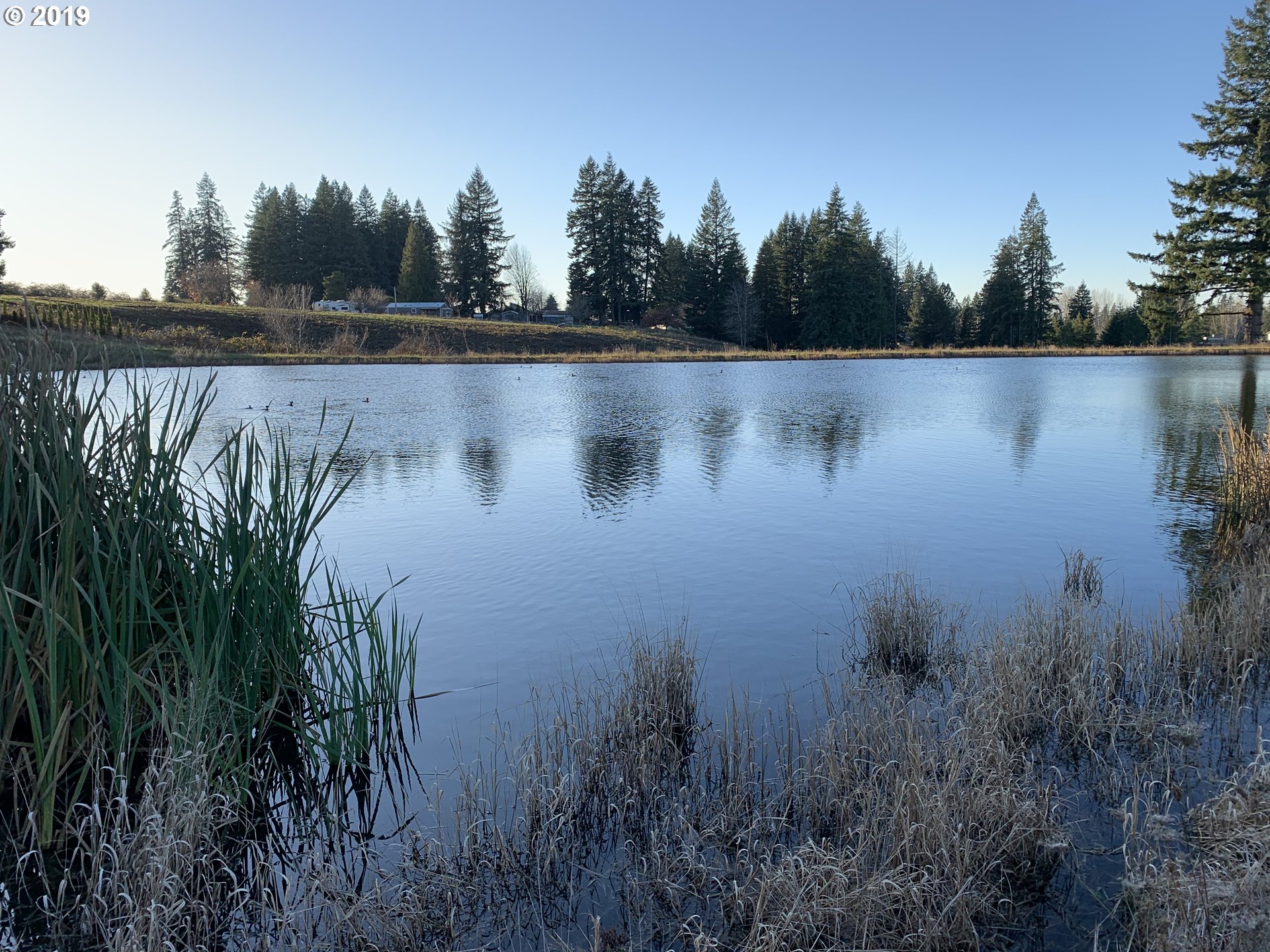 37071 Southeast Kelso Road Boring, OR 97009 - Photo 22 of 32 a view of lake with green space