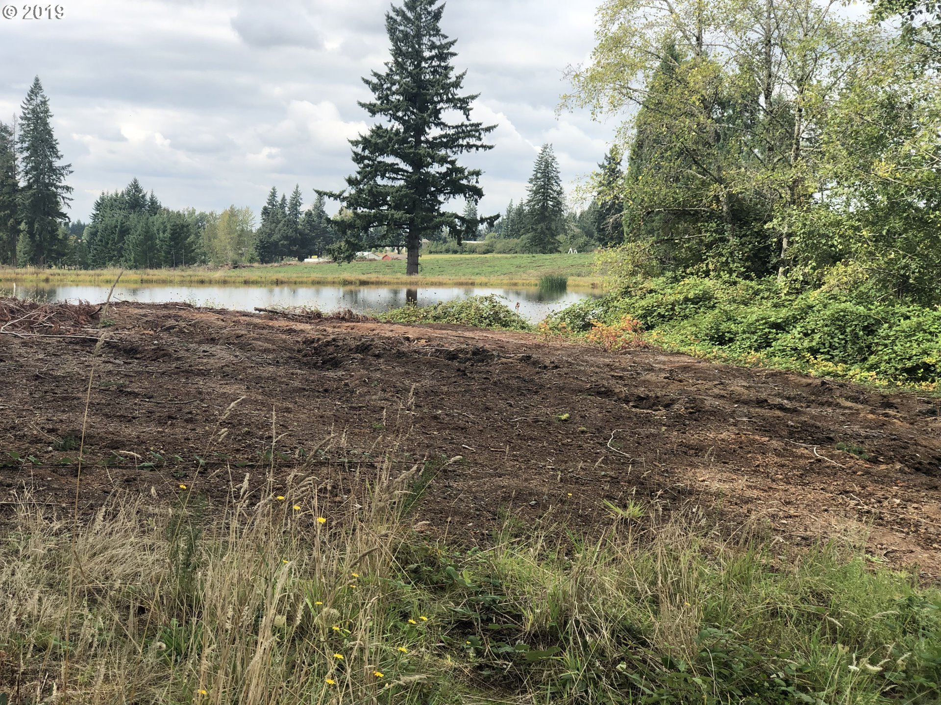 37071 Southeast Kelso Road Boring, OR 97009 - Photo 10 of 32 a view of a field with trees in background