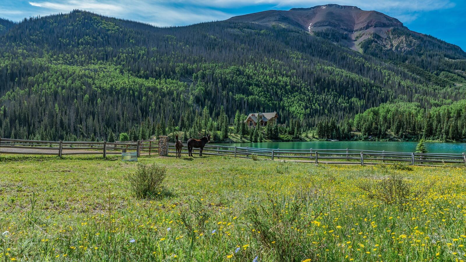 2418 Usfs Road Creede, CO 81130 - Photo 21 of 50 a view of a backyard