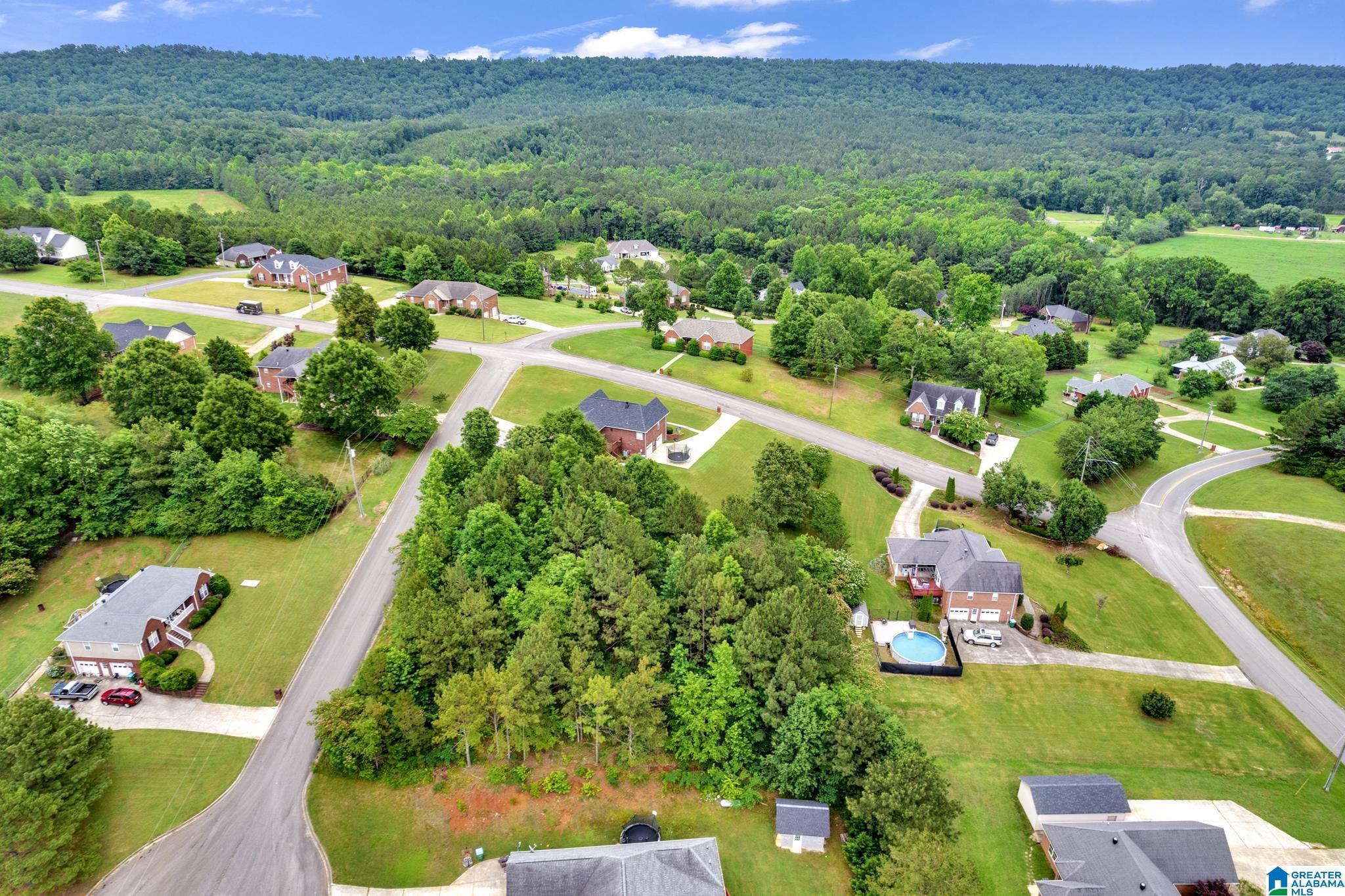 0 Valley View Lane, Unit 1 Oneonta, AL 35121 - Photo 12 of 13