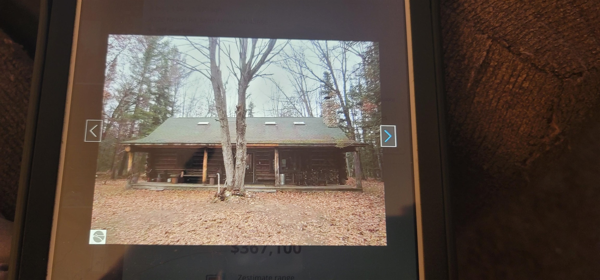 4720 East Nestel Road St. Helen, MI 48656 - Photo 73 of 84