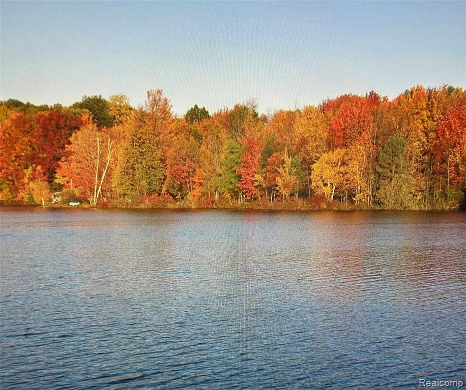 3805 Lee Hill Road Mayville, MI 48744 - Photo 10 of 12