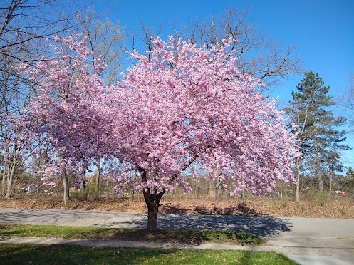 2388 Nixon Road Ann Arbor, MI 48105 - Photo 40 of 44 IMG_20250420_094116381_HDR
