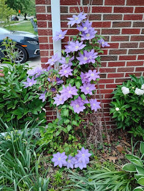 2388 Nixon Road Ann Arbor, MI 48105 - Photo 41 of 44 IMG_20250530_200557378