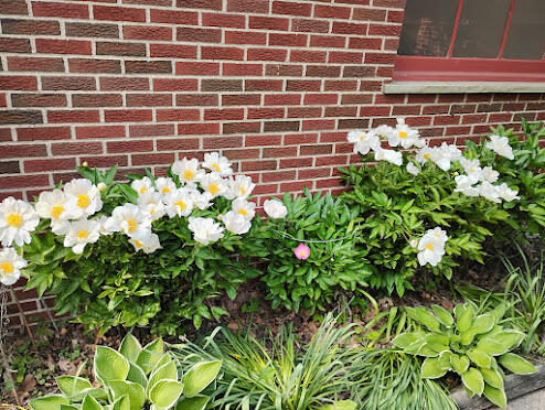 2388 Nixon Road Ann Arbor, MI 48105 - Photo 42 of 44 IMG_20250603_181132978_HDR