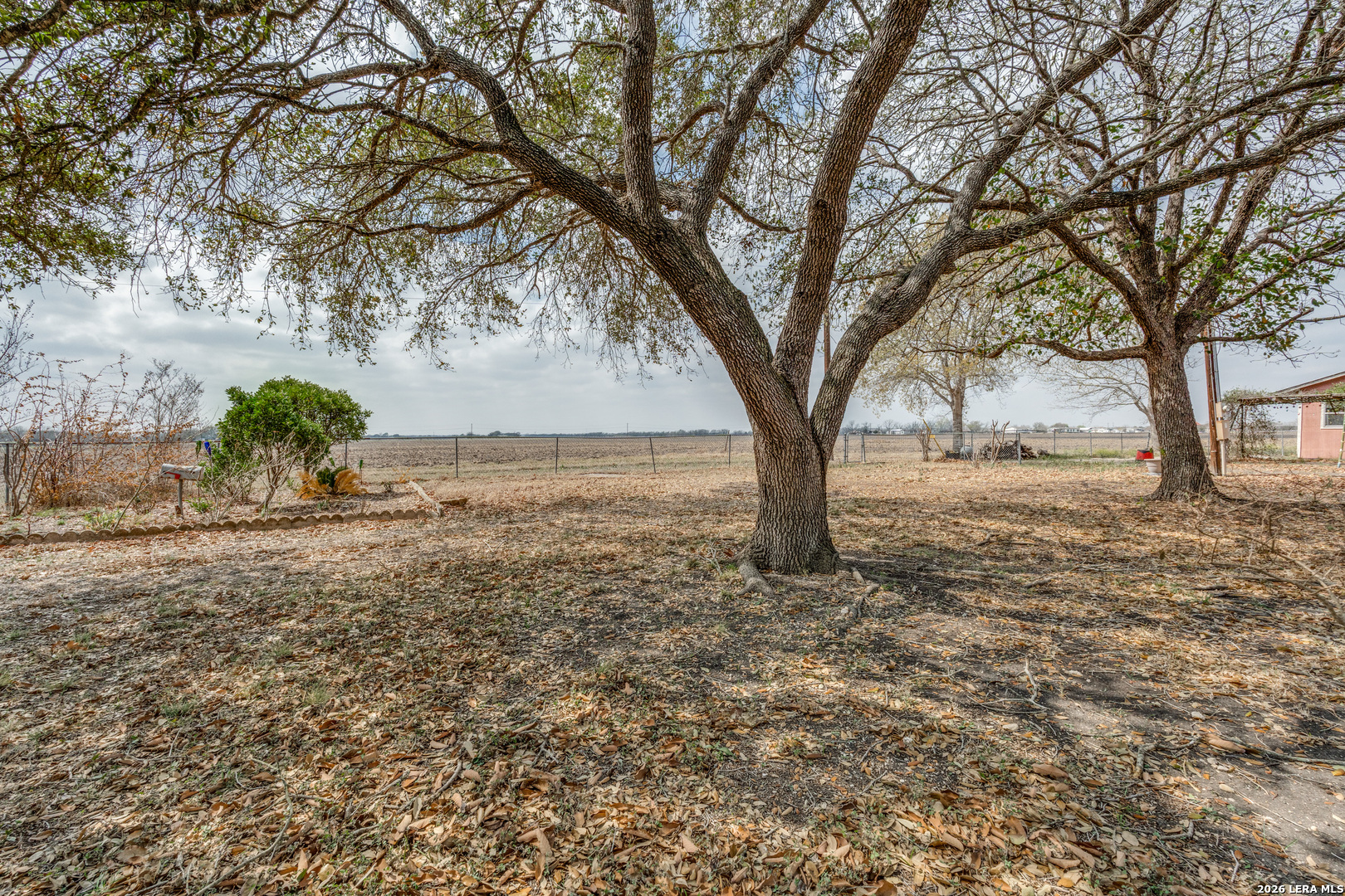 4310 Gin Road Seguin, TX 78155 - Photo 13 of 24