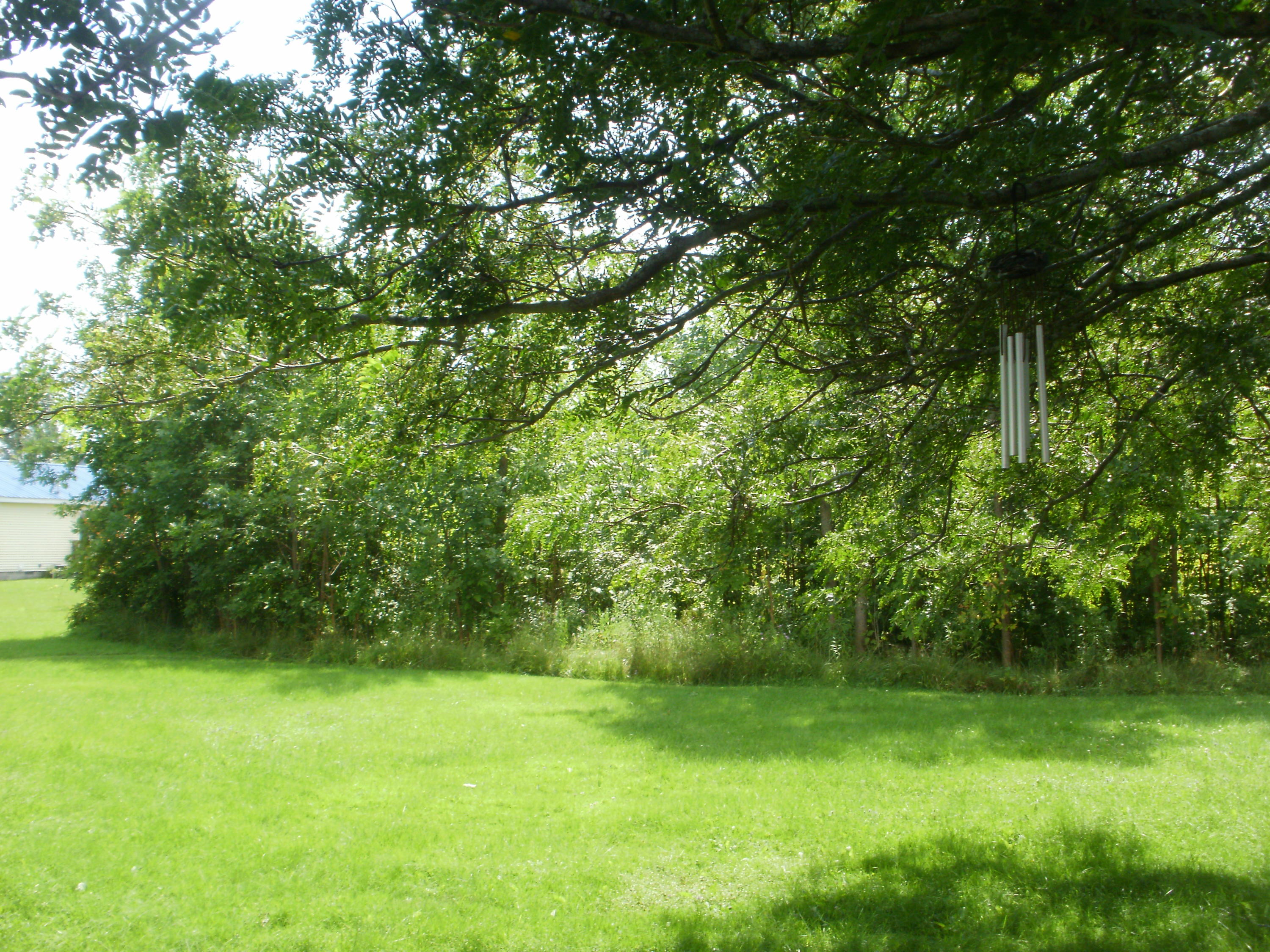 1213 Howard Street Cheboygan, MI 49721 - Photo 57 of 67 Gallery Image 57