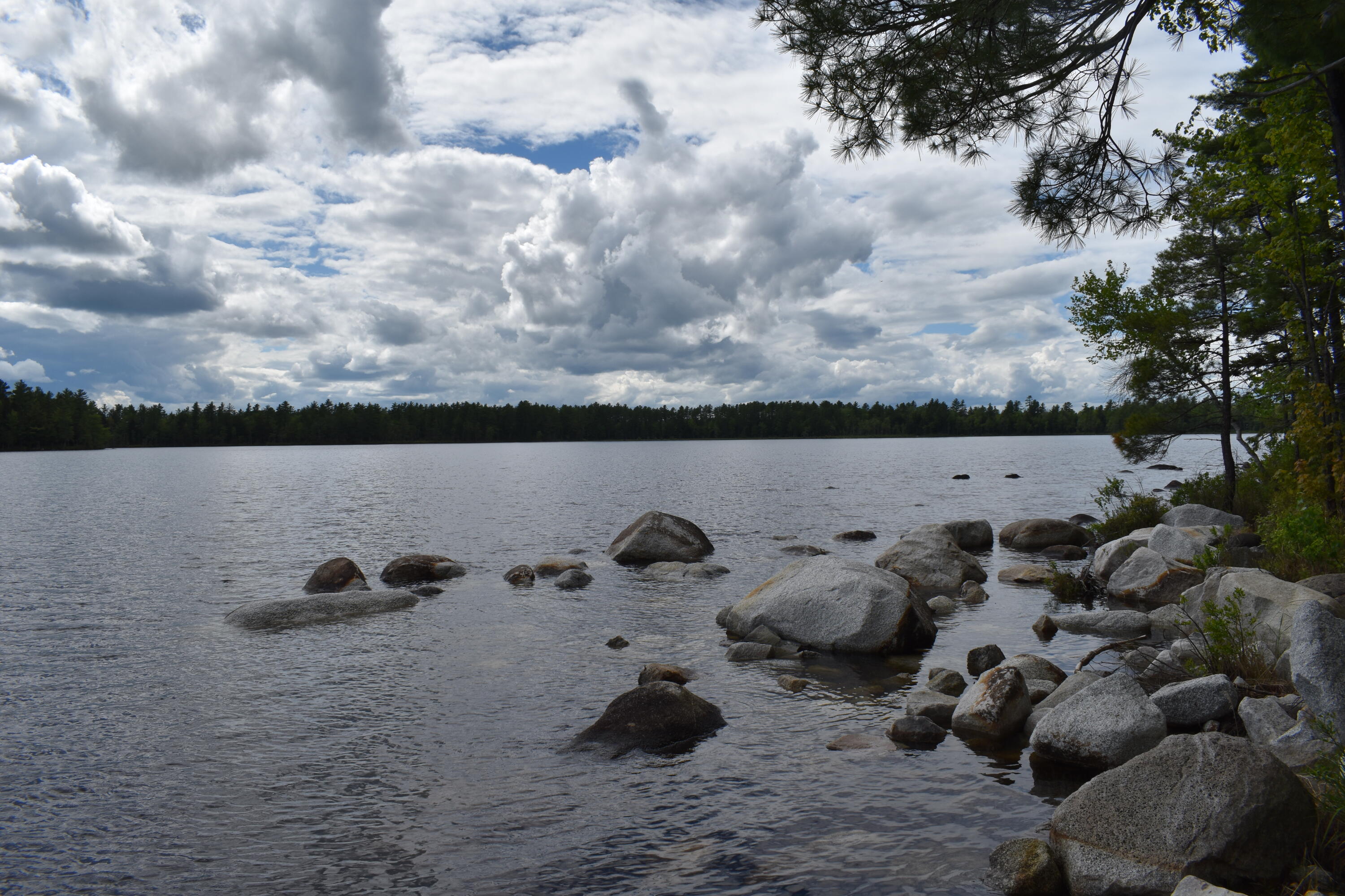 121 Loop Road Lincoln, ME 04457 - Photo 27 of 35 DSC_0194