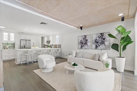 a living room with furniture and a potted plant