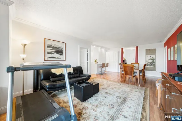 a living room with furniture a rug and a large window